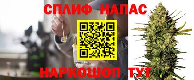 гашик Бузулук