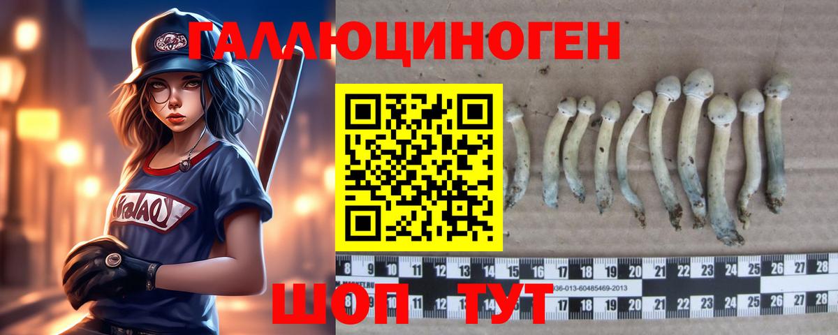 Галлюциногенные грибы Psilocybe Среднеуральск